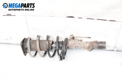 MacPherson-federbein for Ford Focus C-Max (10.2003 - 03.2007), minivan, position: rechts, vorderseite
