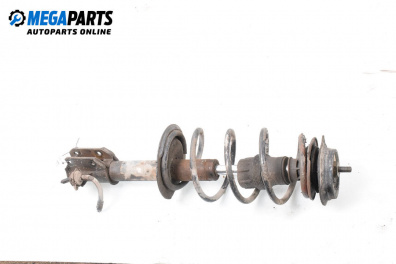 Macpherson shock absorber for Fiat Punto Hatchback II (09.1999 - 07.2012), hatchback, position: front - right