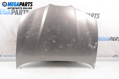 Motorhaube for Seat Ibiza III Hatchback (02.2002 - 11.2009), 3 türen, hecktür, position: vorderseite