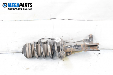 Amortizor McPherson for Opel Zafira B Minivan (07.2005 - 14.2015), monovolum, position: dreaptă - fața