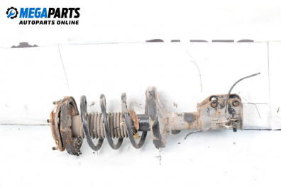 MacPherson-federbein for Mazda Premacy Minivan (07.1999 - 03.2005), minivan, position: rechts, vorderseite