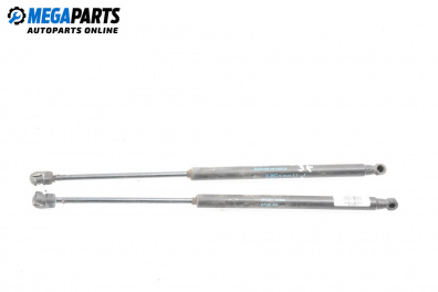 Boot lid dampers for Fiat Idea Minivan (12.2003 - 12.2010)