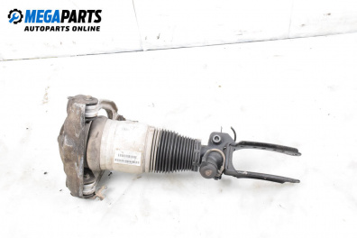 Amortizor pneumatic for Audi Q7 SUV I (03.2006 - 01.2016), suv, position: stânga - fața