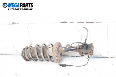 MacPherson-federbein for Fiat Punto Grande Punto (06.2005 - 07.2012), hecktür, position: rechts, vorderseite