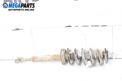 Macpherson shock absorber for Audi A6 Sedan C6 (05.2004 - 03.2011), sedan, position: rear - left