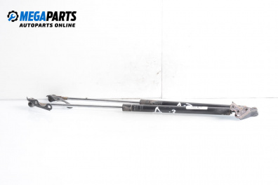 Tije telescopice, portbagaj for Toyota Yaris Hatchback I (01.1999 - 12.2005)