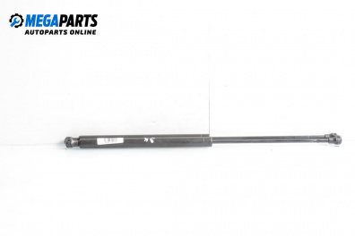 Tije telescopice, portbagaj for Peugeot 206 Hatchback (08.1998 - 12.2012)