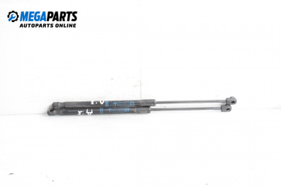 Tije telescopice, portbagaj for Opel Astra H GTC (03.2005 - 10.2010)