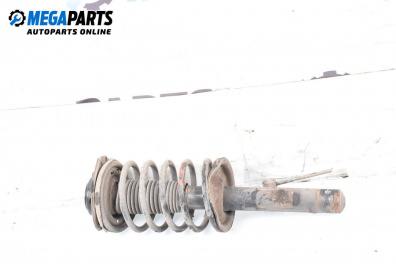 MacPherson-federbein for Citroen Xsara Break (10.1997 - 03.2010), combi, position: rechts, vorderseite