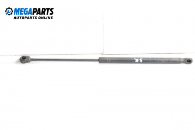 Tije telescopice, portbagaj for Citroen C2 Hatchback (09.2003 - 09.2017)