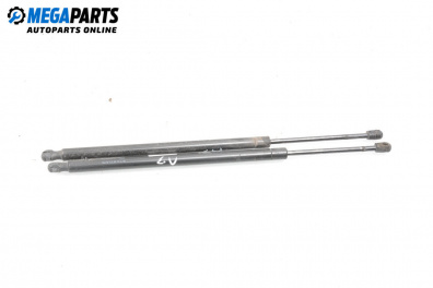 Boot lid dampers for Chevrolet Equinox SUV I (04.2003 - 12.2009)