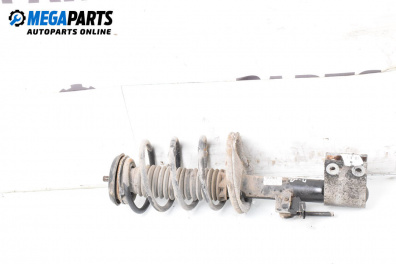 Macpherson shock absorber for Citroen C4 Hatchback I (11.2004 - 12.2013), hatchback, position: front - right