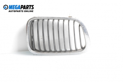 Gitter for BMW 3 Series E46 Touring (10.1999 - 06.2005), combi, position: vorderseite