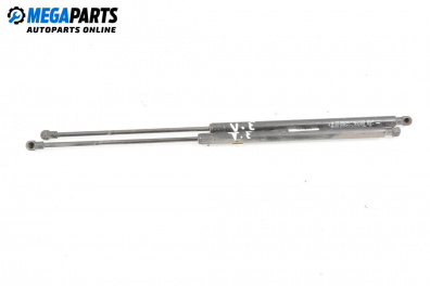 Tije telescopice, portbagaj for Renault Koleos SUV I (09.2008 - 08.2016)