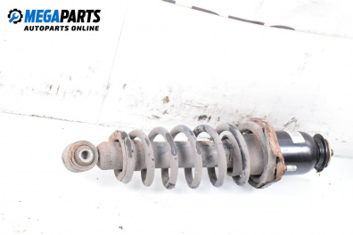 Amortizor McPherson for Toyota Avensis II Liftback (04.2003 - 11.2008), hatchback, position: dreaptă - spate