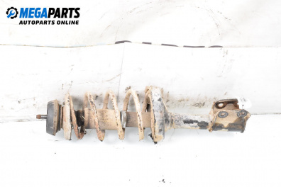 MacPherson-federbein for Renault Kangoo Express I (08.1997 - 02.2008), lkw, position: rechts, vorderseite