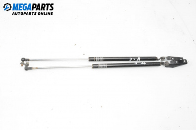 Tije telescopice, portbagaj for Subaru Outback Crossover II (09.2003 - 06.2010)