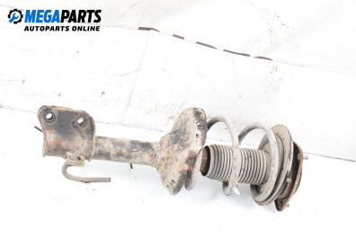 MacPherson-federbein for Subaru Outback Crossover II (09.2003 - 06.2010), combi, position: links, vorderseite