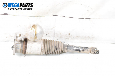 Luft-stoßdämpfer for Volkswagen Phaeton Sedan (04.2002 - 03.2016), sedan, position: links, rückseite