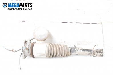 Luft-stoßdämpfer for Volkswagen Phaeton Sedan (04.2002 - 03.2016), sedan, position: rechts, rückseite