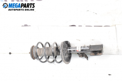 MacPherson-federbein for Citroen C4 Hatchback I (11.2004 - 12.2013), hecktür, position: rechts, vorderseite