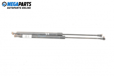 Boot lid dampers for Audi A3 Hatchback II (05.2003 - 08.2012)
