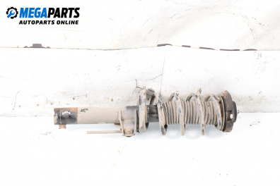 MacPherson-federbein for Audi A3 Hatchback II (05.2003 - 08.2012), hecktür, position: rechts, vorderseite