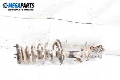 Macpherson shock absorber for Hyundai Coupe Coupe II (08.2001 - 08.2009), coupe, position: rear - right