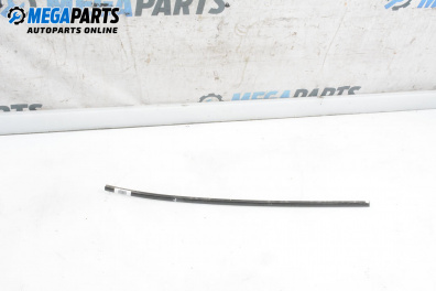 Exterior moulding for Volkswagen Phaeton Sedan (04.2002 - 03.2016), sedan, position: left