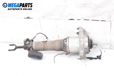 Amortizor pneumatic for Volkswagen Phaeton Sedan (04.2002 - 03.2016), sedan, position: dreaptă - fața