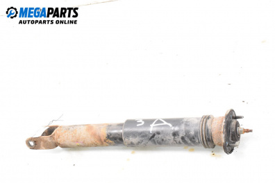 Amortizor for Cadillac CTS Sedan I (03.2002 - 12.2007), sedan, position: dreaptă - spate