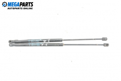 Stoßdämpfer heckklappe for Dacia Sandero Hatchback I (06.2008 - 12.2012)