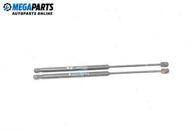 Tije telescopice, portbagaj for Lancia Ypsilon Hatchback I (10.2003 - 12.2011)