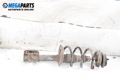 Amortizor McPherson for Fiat Punto Hatchback II (09.1999 - 07.2012), hatchback, position: dreaptă - fața