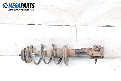 Amortizor McPherson for Fiat Punto Hatchback II (09.1999 - 07.2012), hatchback, position: stânga - fața