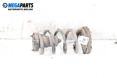 Coil spring for Fiat Punto Hatchback II (09.1999 - 07.2012), hatchback, position: rear