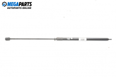 Motorhaubedämpfer for Renault Megane III Hatchback (11.2008 - 12.2015)