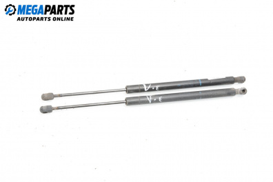 Stoßdämpfer heckklappe for Renault Scenic II Minivan (06.2003 - 07.2010)