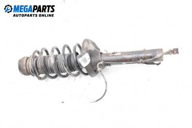 MacPherson-federbein for Volkswagen Golf IV Hatchback (08.1997 - 06.2005), hecktür, position: rechts, vorderseite