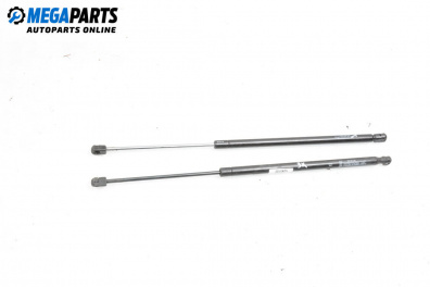 Stoßdämpfer heckklappe for Renault Megane Scenic (10.1996 - 12.2001)