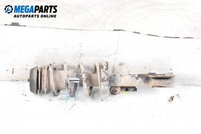 MacPherson-federbein for Opel Zafira A Minivan (04.1999 - 06.2005), minivan, position: rechts, vorderseite