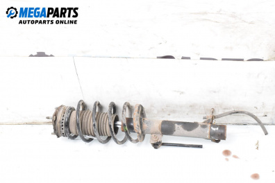 Amortizor McPherson for Ford Fiesta V Hatchback (11.2001 - 03.2010), hatchback, position: dreaptă - fața