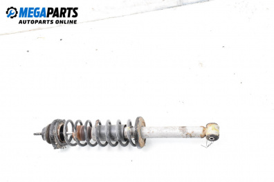MacPherson-federbein for Volkswagen Polo Variant (04.1997 - 09.2001), combi, position: rechts, rückseite