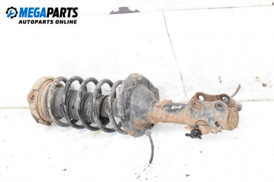 Amortizor McPherson for Volkswagen Polo Variant (04.1997 - 09.2001), combi, position: stânga - fața