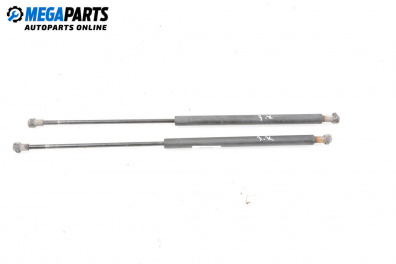 Stoßdämpfer heckklappe for Peugeot 206 Station Wagon (07.2002 - ...)