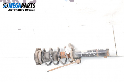 MacPherson-federbein for Seat Altea Minivan (03.2004 - 12.2015), minivan, position: rechts, vorderseite