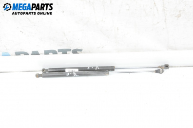 Tije telescopice, portbagaj for Renault Laguna I Grandtour (09.1995 - 03.2001)