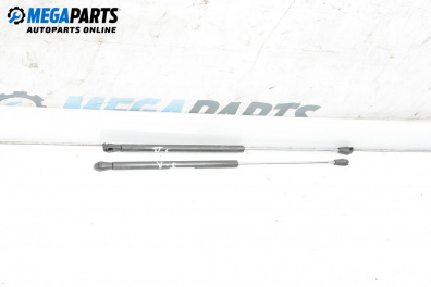 Tije telescopice, portbagaj for Renault Laguna I Grandtour (09.1995 - 03.2001)