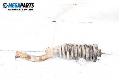 Amortizor McPherson for SsangYong Rexton SUV I (04.2002 - 07.2012), suv, position: stânga - fața