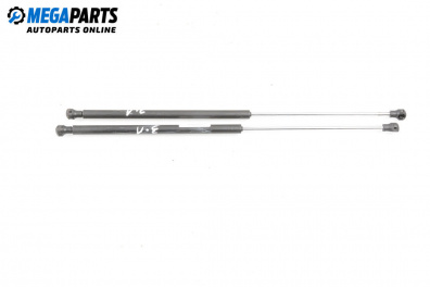 Tije telescopice, portbagaj for Renault Laguna II Grandtour (03.2001 - 12.2007)